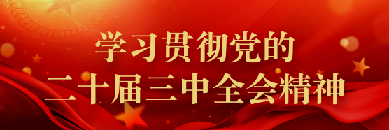 学习贯彻党的二十届三中全会精神