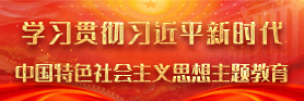 深入开展学习贯彻习近平新时代中国特色社会主义思想主题教育